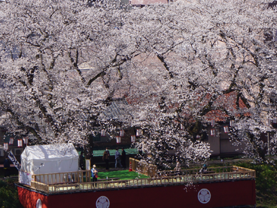 ベランダからの風景